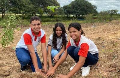 IMA promove plantio de mudas nas margens do rio São Francisco, em Penedo
