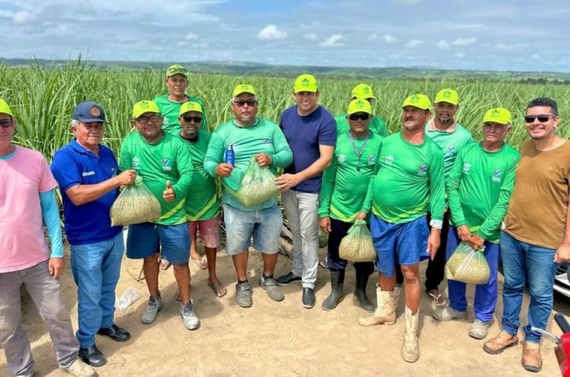 Famílias participantes do Barriga Cheia em Campo Alegre iniciam plantio e estão confiantes em mais uma produção recorde