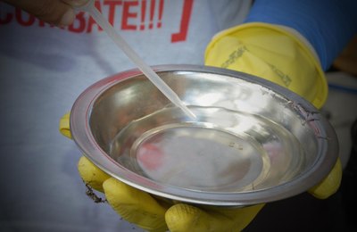 Casos de Dengue triplicam em AL e passam de 2.215 para 6.357; Sesau alerta sobre doença