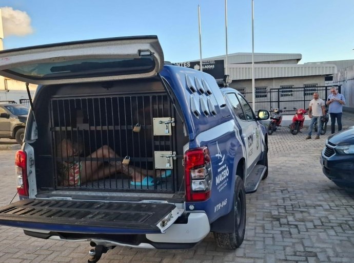 Guarda Municipal apreende drogas em casa de passagem em Maceió
