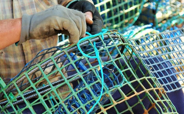 Pescadores de polvo lutam para proteger o maior recife de Portugal; entenda