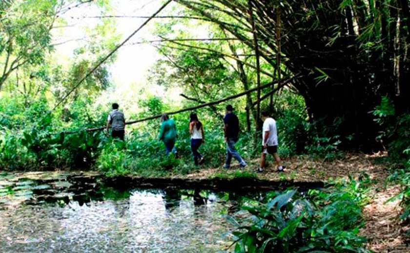 Equilíbrio: natureza e ocupação humana convivem na região metropolitana