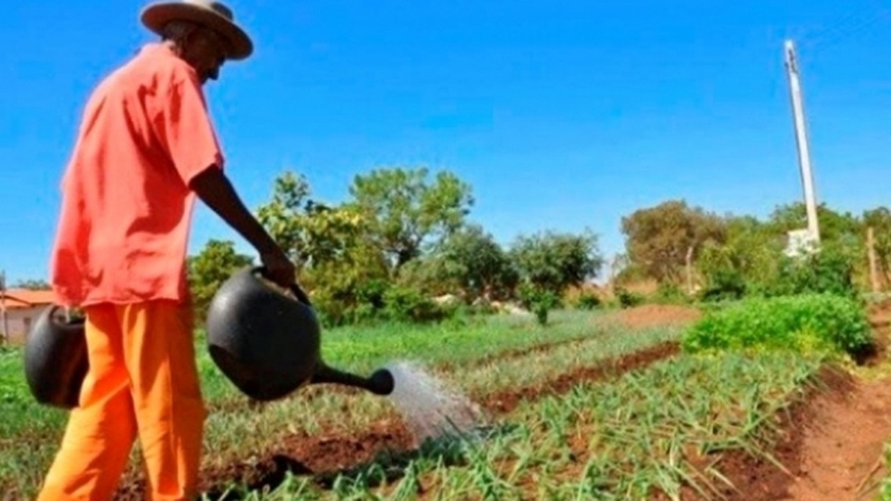 Agricultura estima Valor Bruto da Produção em 2022 de R$ 1,208 trilhão
