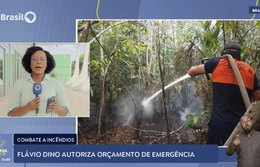 Flávio Dino autoriza orçamento de emergência para combater incêndios