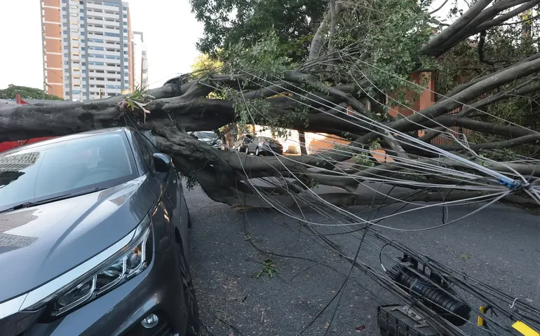 Cinco dias após ciclone, 30 mil clientes seguem sem energia em SP