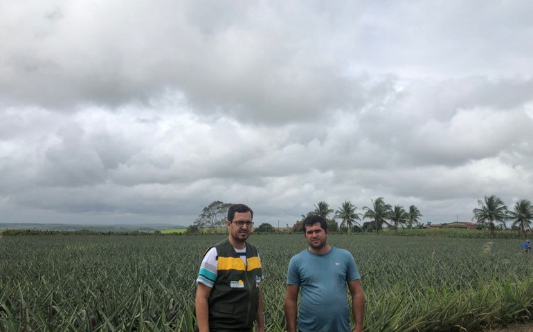 Por meio da diversificação agrícola, agricultor aumenta renda anual em quase 80%