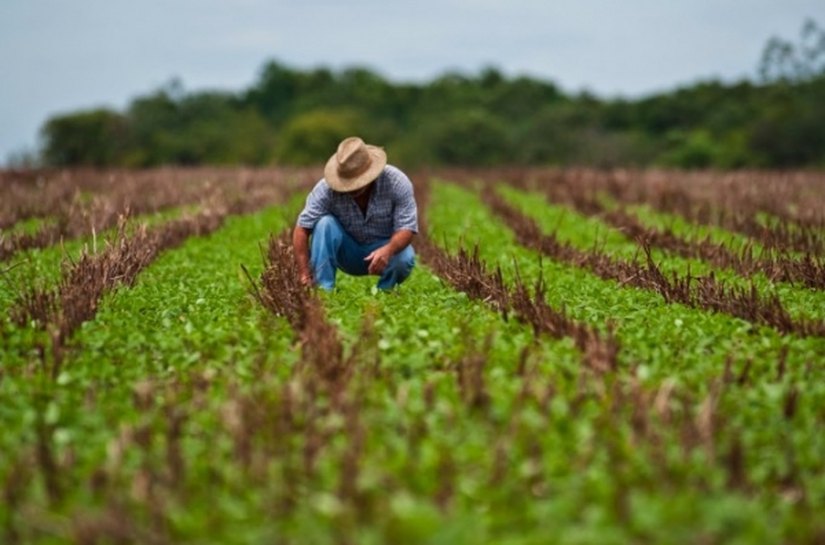 Secretário participa do lançamento do Plano Safra da Agricultura Familiar