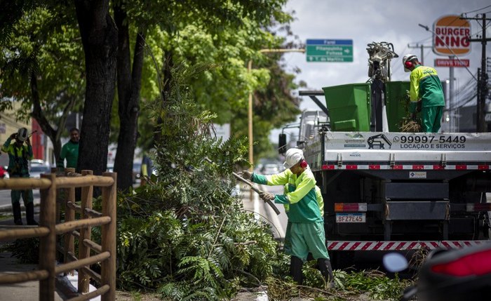 Poda de árvores é um serviço realizado pela Alurb e pode ser solicitado pela população para árvores que estejam em áreas externas Poda de árvores é um serviço realizado pela Alurb e pode ser solicitado pela população para árvores que estejam em áreas externas
