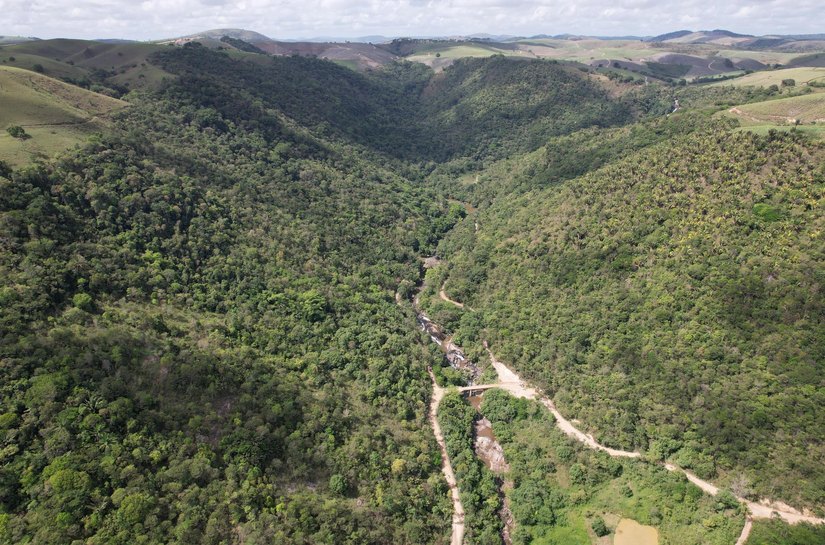 No Dia das Florestas, conheça o trabalho do IMA na proteção da vegetação nativa