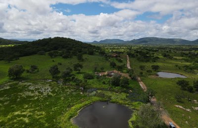 Dia Nacional da Caatinga é celebrado com ações no Sertão de Alagoas