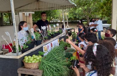 Alunos da rede municipal de Arapiraca aprendem Educação Nutricional e Financeira