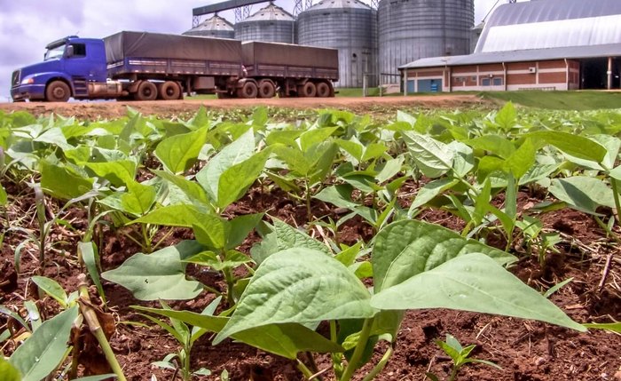 As exportações do agronegócio no 1º quadritrimestre deste ano cresceram 17,5%