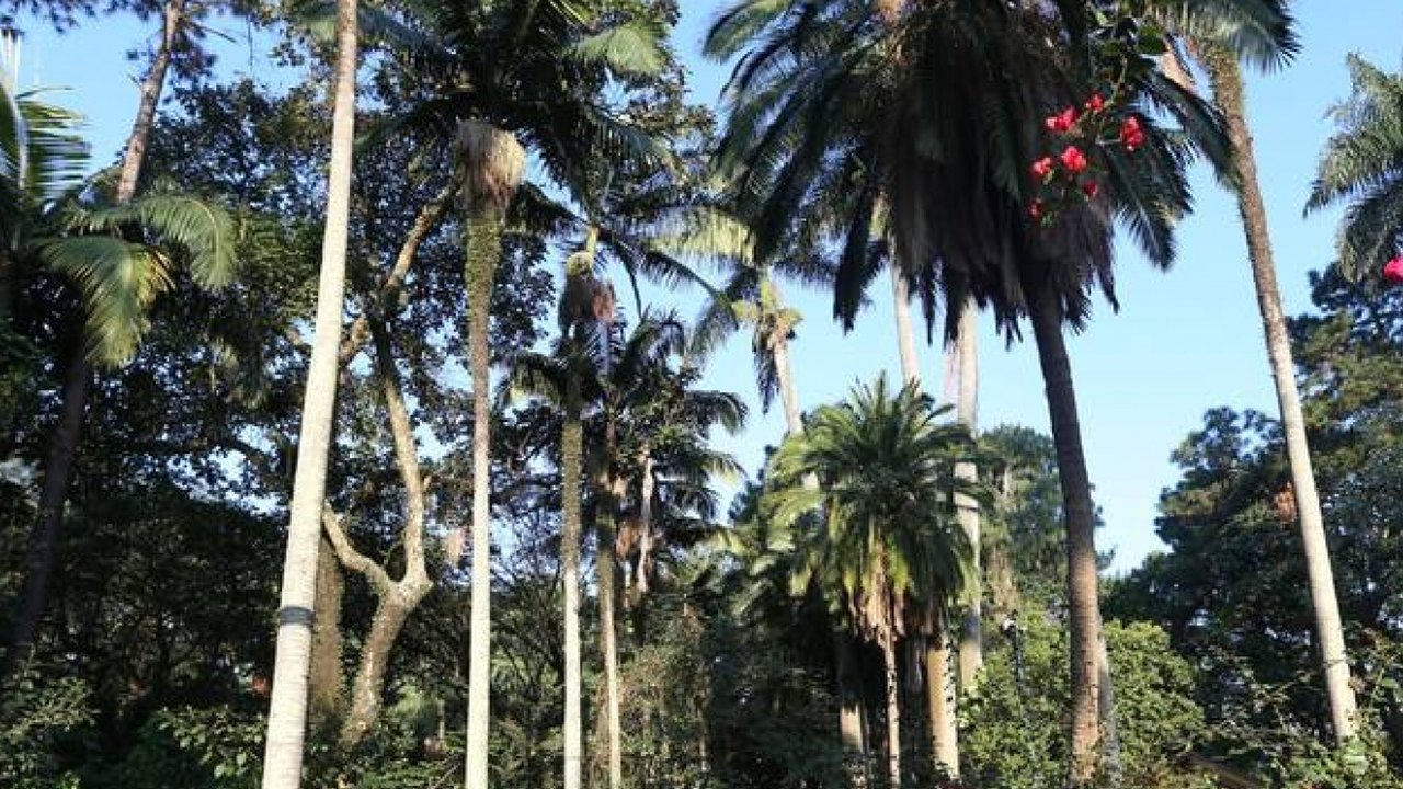Parques estaduais de SP retomarão horário normal em dias úteis