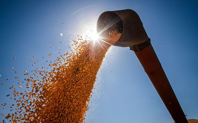 Brasil poderá ter novo recorde na produção de grãos na safra 2024/2025