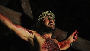 Fotos: Divulgação