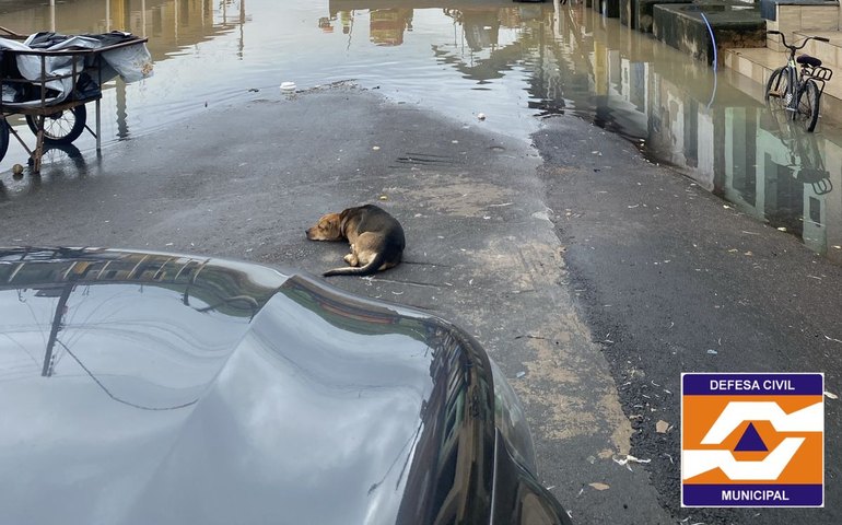 Rio Santo Antônio transborda e ruas em São Luís do Quitunde são tomadas pela água