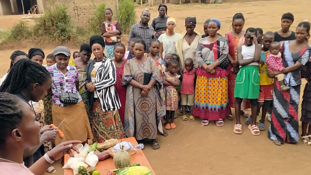 Projeto estimula criação de insetos como fonte de proteína na Uganda