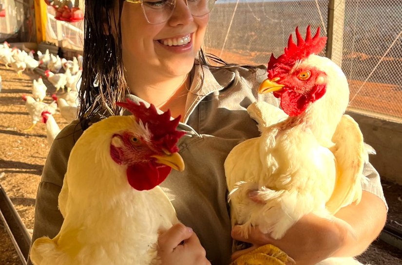 Vetanco anuncia vencedores do segundo Concurso Fotográfico Chicken Lovers