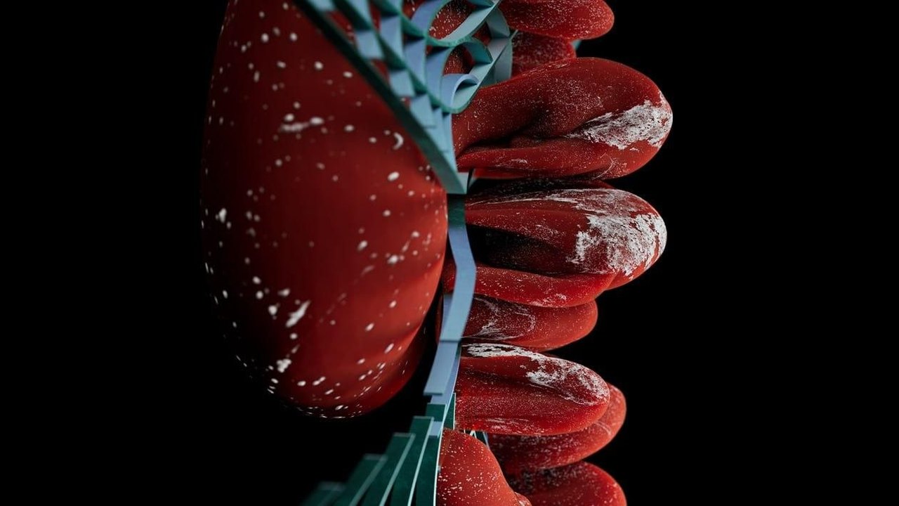 Novo exame detecta 97,9% das lesões de câncer renal em estudo