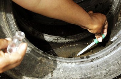 Casos de Dengue podem ser confundidos com Covid; prefeitura de Arapiraca investiga subnotificações