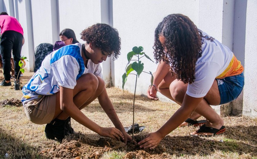 Alagoas Mais Verde: programa de arborização do IMA contabiliza mais de 1,6 milhão de mudas plantadas