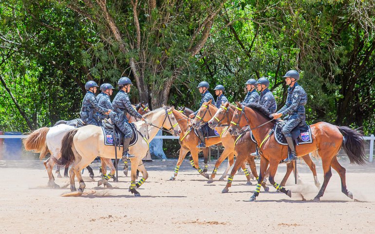 PM forma 10 militares no Curso de Policiamento Montado