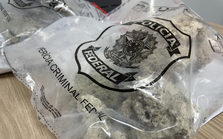 Retirada de corais de habitat natural é crime ambiental, alerta IMA/AL