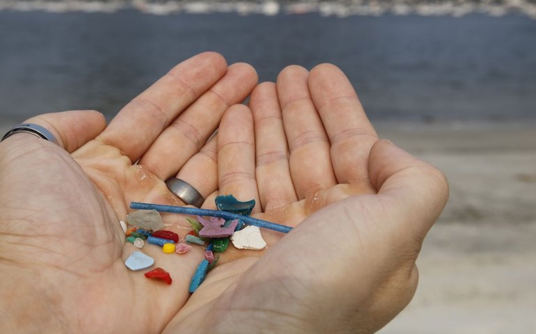 Microplásticos no cérebro estão aumentando e já representam 0,5% do peso do órgão, revela estudo