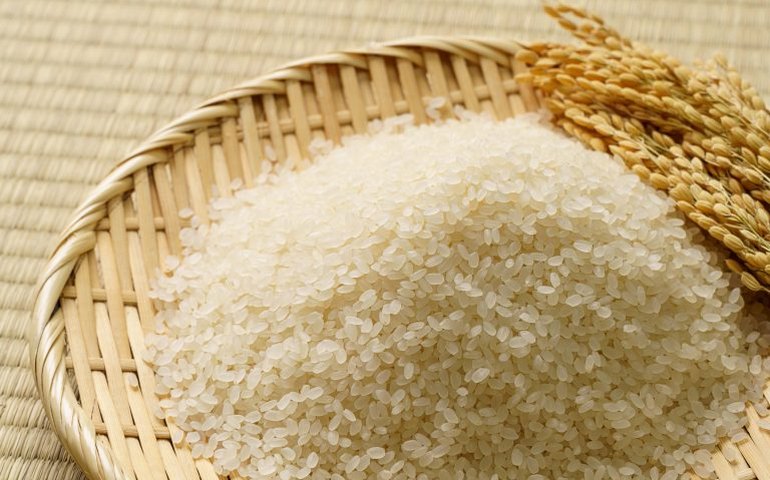 Abiarroz: tarifa dos EUA pode gerar perda de US$ 25 milhões por ano