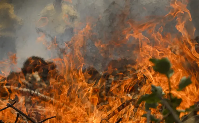 Espírito Santo adquire ferramenta que detecta incêndios e desmatamento em tempo real