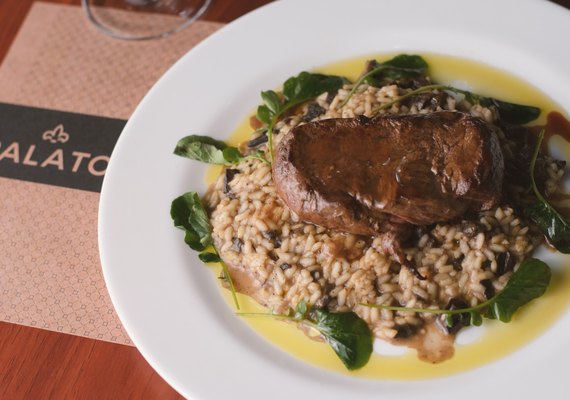 Rótulos e Sabores: vinhos da Adega Palato brilham em noite gastronômica em Maceió
