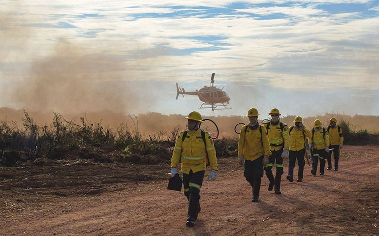 Fiscais do Ibama sofrem emboscada durante operação contra extração ilegal de madeira no Amazonas