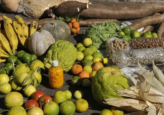 Empréstimo do BNDES para o Plano Safra será recorde de R$ 70 bilhões