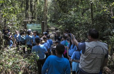 Projeto de lei institui Campanha Junho Verde para promoção da educação ambiental