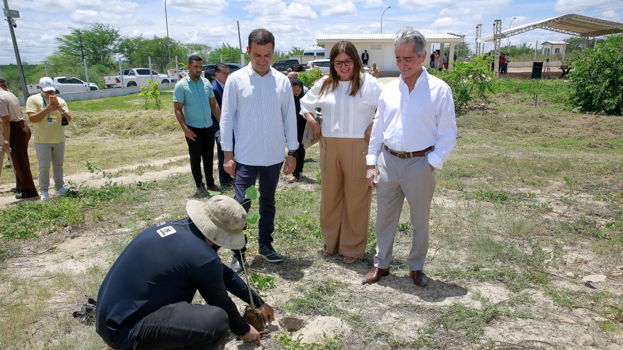 Parceria entre Alagoas Mais Verde e TJAL reforça reflorestamento no Sertão