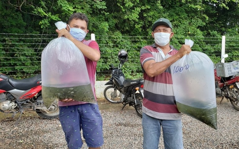 Seagri fará a doação de mais de 10 mil alevinos em Tanque d’Arca nesta sexta-feira (14)