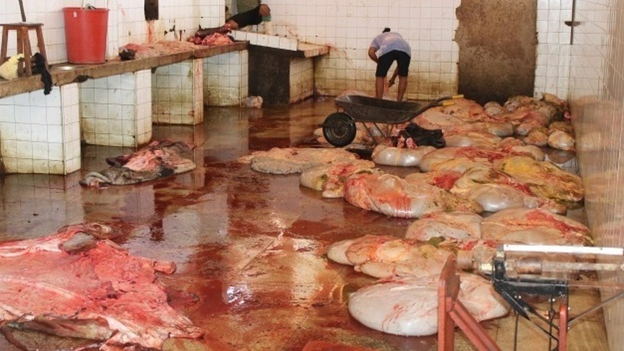 Juíza acata pedido da Defensoria Pública e determina interdição de matadouro em Palmeira