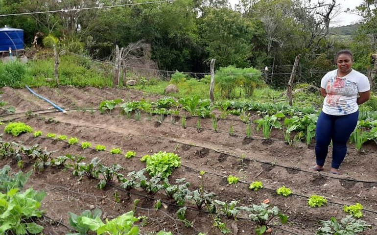 Sancionada lei que torna Canguçu (RS) Capital Nacional da Agricultura Familiar