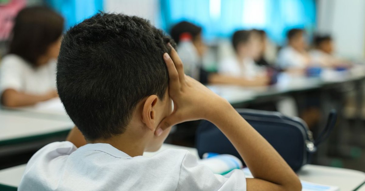 Censo Escolar 2026: Prazo para coleta de dados da educação básica termina nesta sexta-feira
