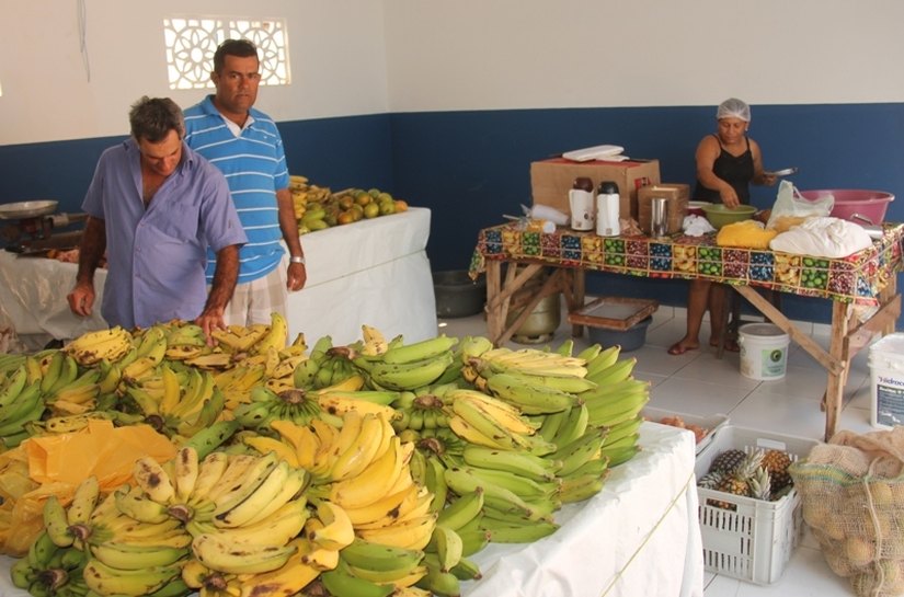Produtores de Campo Alegre vendem alimentos através do PNAE