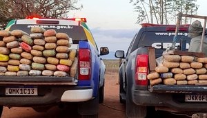 Três suspeitos são presos com cerca de 142kg de maconha e duas armas de fogo no Alto Sertão Sergipano / Foto: Divulgação/PM
