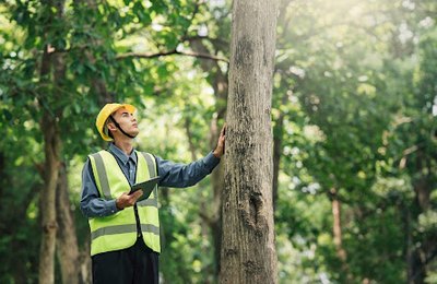 Confira as 10 profissões ambientais mais pesquisadas pelos brasileiros: transição energética e energia solar por assinatura se destacam no ESG