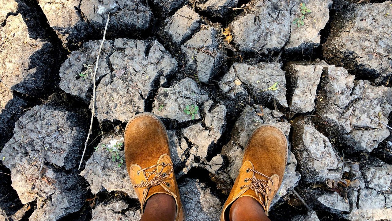 El Niño pode levar 49 milhões de pessoas à fome, aponta agência da ONU