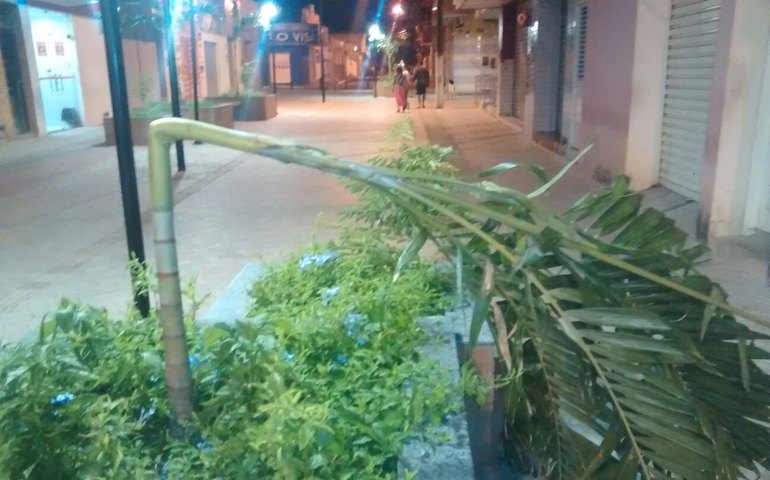 Vândalos destroem jardins de calçadão recém inaugurado em Lagoa da Canoa