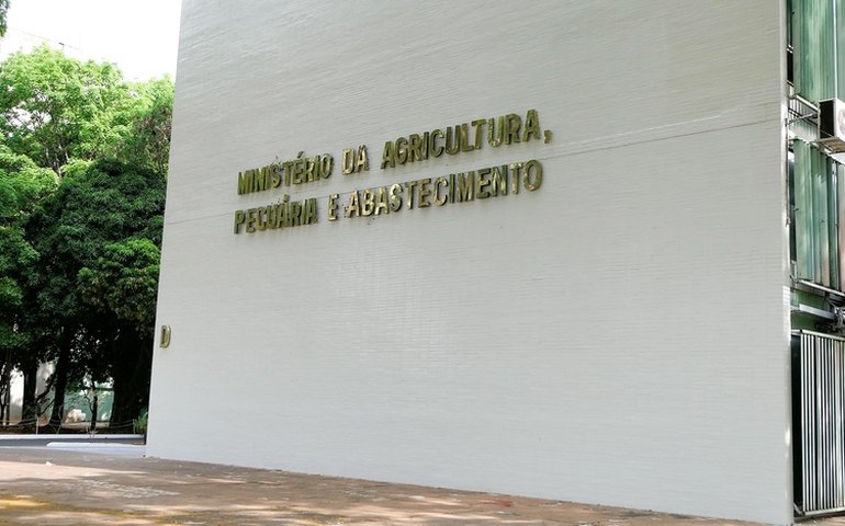 Ministério da Agricultura deve criar quatro novas câmaras temáticas