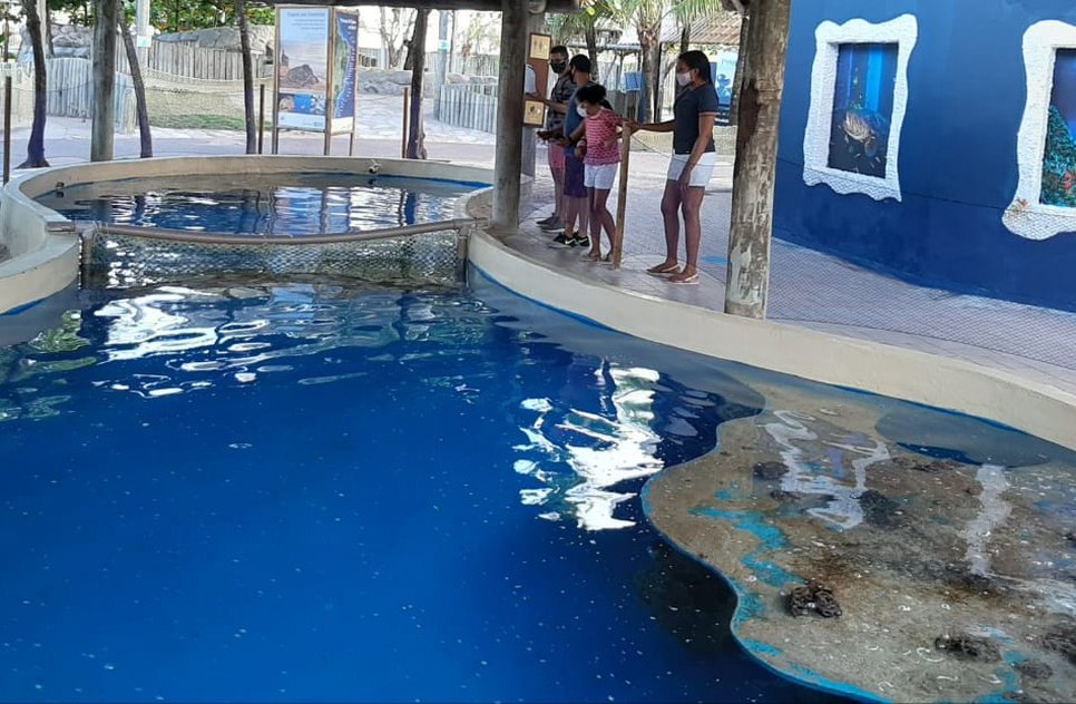 OCEANÁRIO ARACAJU  / Foto: Projeto Tamar