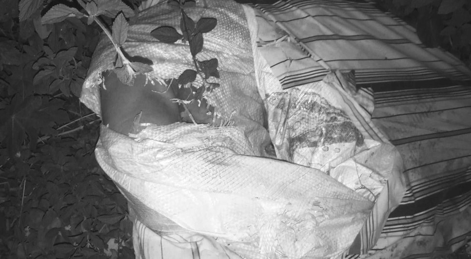 Corpo enrolado em saco plástico é encontrado na Zona de Expansão de Aracaju / Foto: Foto: Reprodução/Redes Sociais