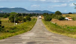 RODOVIA PINHÃO / Foto: Arthuro Paganini