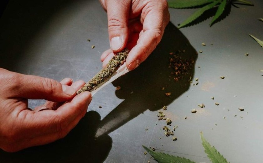 Justiça anula justa causa de empregada que guardou maconha no trabalho