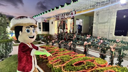 55 Anos do Grupo Coringa: Uma História de Sucesso e o Tradicional Acender das Luzes de Natal